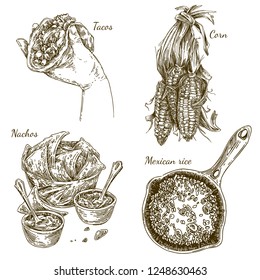 Set of mexican food. Corn on the cob, fried rice, nachos and fresh tacos. Sketch. Engraving style. Vector illustration.