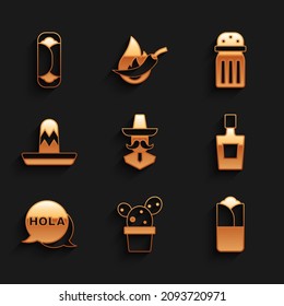 Set Mexican man sombrero, Cactus or succulent in pot, Burrito, Tequila bottle, Hola, Salt and  icon. Vector