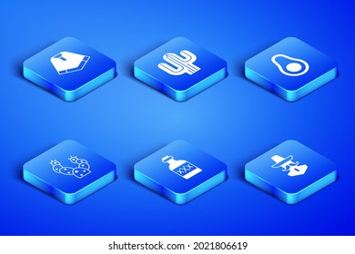Set Mexican man sombrero, Poncho, Tequila bottle, Cactus,  and Avocado fruit icon. Vector