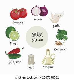 Set of Mexican salsa sauce ingredients. Tomatoes, onion, garlic, lime, coriander, jalapeno pepper, wine vinegar and salt for preparation of sauce. Cartoon illustration.