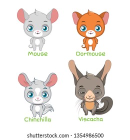 Set of mice and chinchilla species illustrations