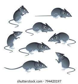 Set of mice in different poses. Vector illustration isolated on white background