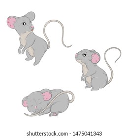 set of mice. sleeping mouse