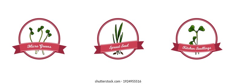 Set of microgreens logo with hand drawn elements. Vector illustration in colored sketch style isolated on white background