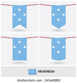 Set of Micronesia flag. vector illustration 