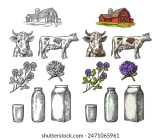 Set Milk farm. Cow head, clover, box carton package, glass and bottle. Vector engraving vintage color illustration. Isolated on white background.