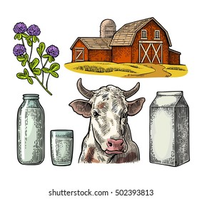 Set Milk farm. Cow head, clover, box carton package, glass and bottle. Vector engraving vintage color illustration. Isolated on white background.