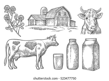 Set Milk Farm. Cow Head, Clover, Box Carton Package, Glass And Bottle. Vector Engraving Vintage Black Illustration. Isolated On White Background.