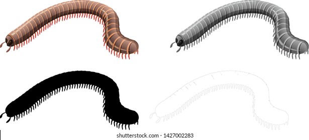 Set of millipede character illustration