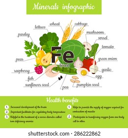 Set of mineral Iron and useful products: lettuce, parsley, mushroom, wheat, garlic, raspberry, egg, onion, cabbage, pear, sorrel, fish, seed, pea, tomato. Healthy lifestyle and diet vector concept.