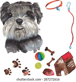 set - miniature schnauzer dog portrait , as well as accessories for dogs - ball and a tennis ball , bones , leash, collar , bowl , box , dog paw marks