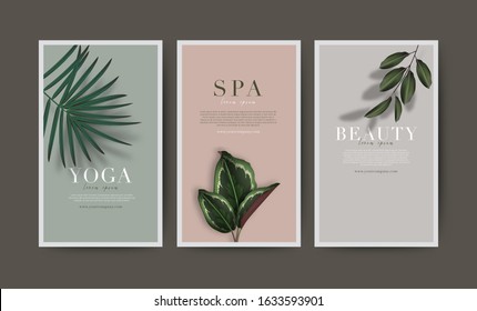 Set of minimal banner for branding packaging. Tropical summer plant and leaf with shadow background. For spa resort luxury hotel, yoga, beauty, cosmetic, organic texture. vector illustration.
