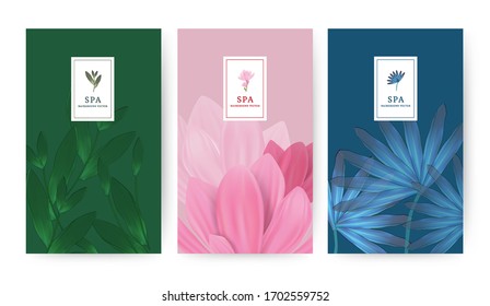 Set of minimal banner for branding packaging. Tropical summer plant and leaf. For spa resort luxury hotel, yoga, beauty, cosmetic, organic texture. Ginkgo leaf drawing line, vector illustration.