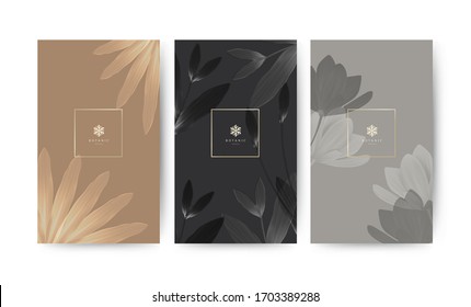 Conjunto de banner mínimo para el embalaje de marca. Planta tropical de verano y hoja con fondo de sombra. Para balneario resort hotel de lujo, yoga, belleza, cosmética, textura orgánica. ilustración vectorial.