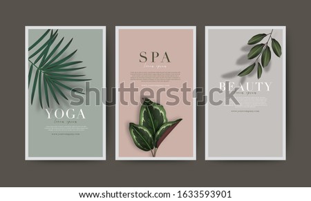 Set of minimal banner for branding packaging. Tropical summer plant and leaf with shadow background. For spa resort luxury hotel, yoga, beauty, cosmetic, organic texture. vector illustration.