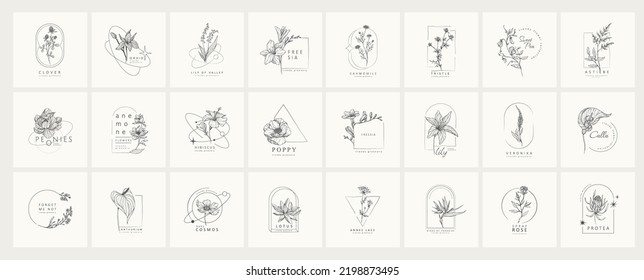 Set of minimal feminine botanical floral frame or logo with trendy flowers. Hand drawn wedding herb, homeplant with elegant leaves. Botanical rustic trendy greenery vector illustration