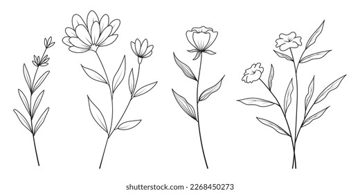 Set of minimal hand drawn botanical floral elements. Branches and leaves colors. Herbs and plants collection. Vintage botanical illustrations.
