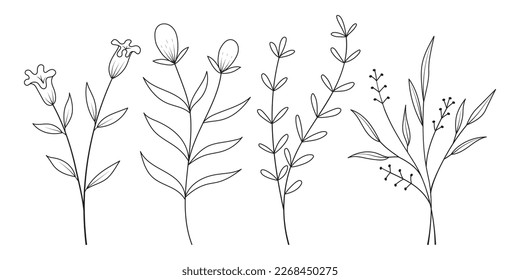 Set of minimal hand drawn botanical floral elements. Branches and leaves colors. Herbs and plants collection. Vintage botanical illustrations.