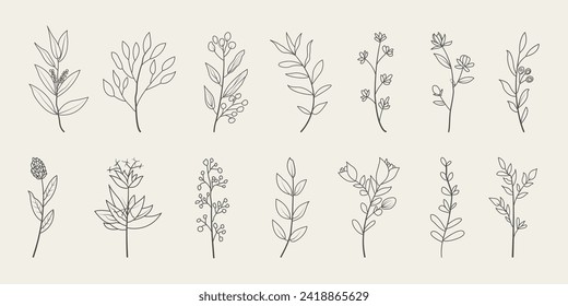 Set of minimal leaves. Hand drawn botanical decorative elements vector. 