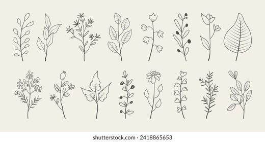 Set of minimal leaves. Hand drawn botanical decorative elements vector. 
