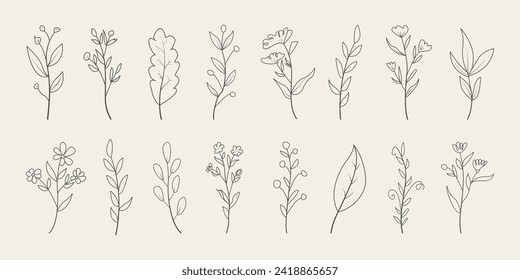 Set of minimal leaves. Hand drawn botanical decorative elements vector. 