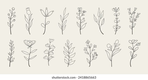 Set of minimal leaves. Hand drawn botanical decorative elements vector. 