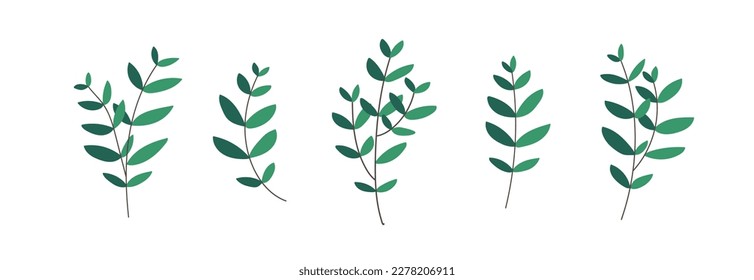Set of minimal organic botany branches isolated on white. Elegant hand drawn floral decor elements collection. Wedding invitations and greeting cards design elements.