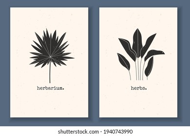 Set of minimal posters with plants, tropical leaves, and textured background. Monochrome vector illustration with abstract nature elements. Great design for social media, your logo, postcards, posters