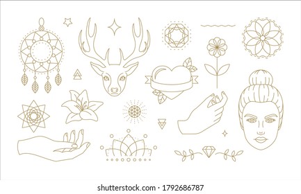 Set of minimal vector illustration with various elegant floral and animalistic symbols and icons of femininity drawn with thin lines