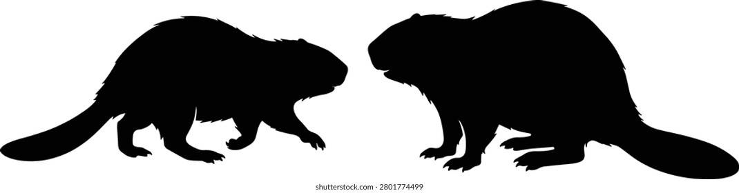 A set of minimalist black silhouettes featuring beavers in profile view. Perfect for nature-themed graphic designs, educational wildlife materials, and environmental conservation branding.
