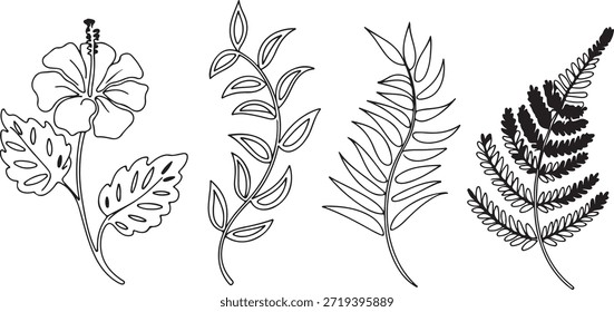  Un conjunto de Ilustraciones vectoriales minimalistas en blanco y negro con una flor de hibisco, varias ramas frondosas y helechos, ideales para temas tropicales y botánicos.