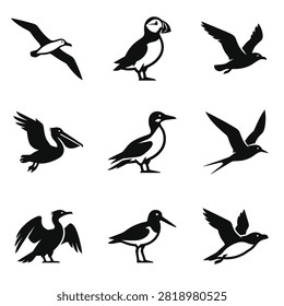 A set minimalist black