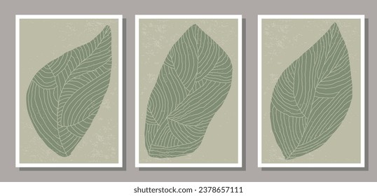 Set of minimalist botanical composition with leaves abstract collage