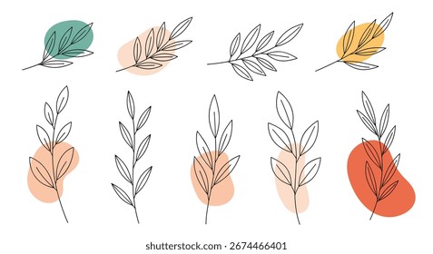 Conjunto de ilustrações botânicas minimalistas com formas abstratas de aquarela para projetos de design moderno