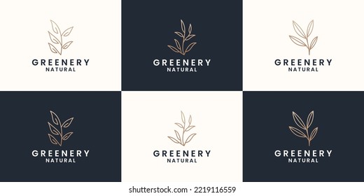 set of minimalist greenery logo design, botany, botanical, plant