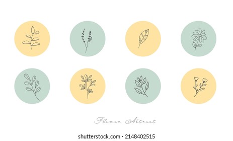 Establecer un conjunto minimalista de hojas de flores escritas a mano aisladas en fondo blanco ,Ilustración vectorial EPS 10