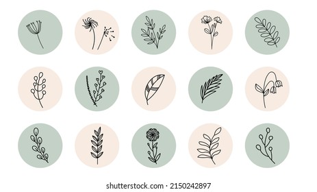 Establecer un conjunto minimalista de hojas de flores escritas a mano aisladas en fondo blanco ,Ilustración vectorial EPS 10