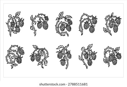 Set of minimalist line art climbing ivy and creeping plant symbols for architectural landscaping and nature branding design illustration.