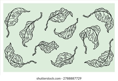 Set of minimalist line art wilted flower leaves and dried foliage symbols for autumn branding and expressive nature design illustration.