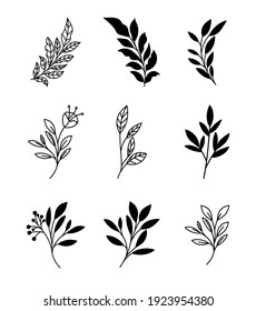 conjunto minimalista de diseños de ilustraciones vectoriales de plantas