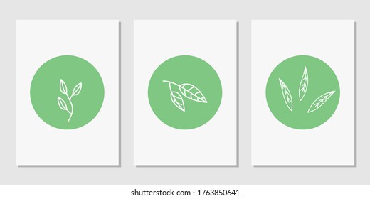 set of minimalist wall poster decoration art with floral leaves doodle and green circle background. Modern posters for wall art, prints, cards, instagram highligh instastory. vector graphics