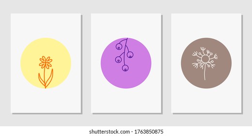 set of minimalist wall poster decoration art with floral flower, fruit and dandelion seed doodle and colorful circle background. Modern posters for wall art, prints, cards, instagram highligh. Vector 