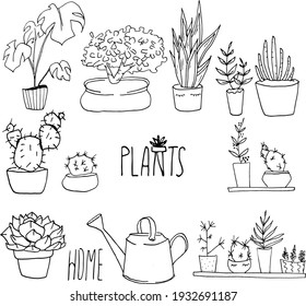 Featured image of post The Best 19 Cute Plant People Drawings