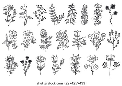 Set of minimalistic floral branches. Hand drawn field plants, wild flowers or grass. Design elements for tattoos, logos and wedding invitations. Cartoon flat vector collection isolated on white