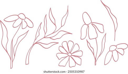 Set of minimalistic flowers, hand drawn, neat elements for decoration