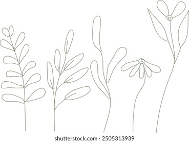 Set of minimalistic flowers, hand drawn, neat elements for decoration