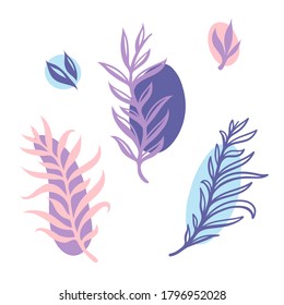 Set of minimalistic illustrations of plants