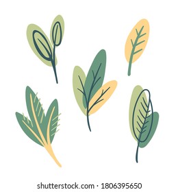 Set of minimalistic illustrations of plants