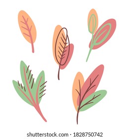 Conjunto de ilustraciones minimalistas de plantas