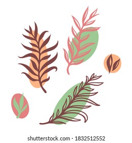 Set of minimalistic illustrations of plants